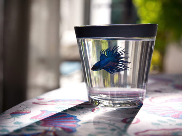 andreastsonidis 24102015 1