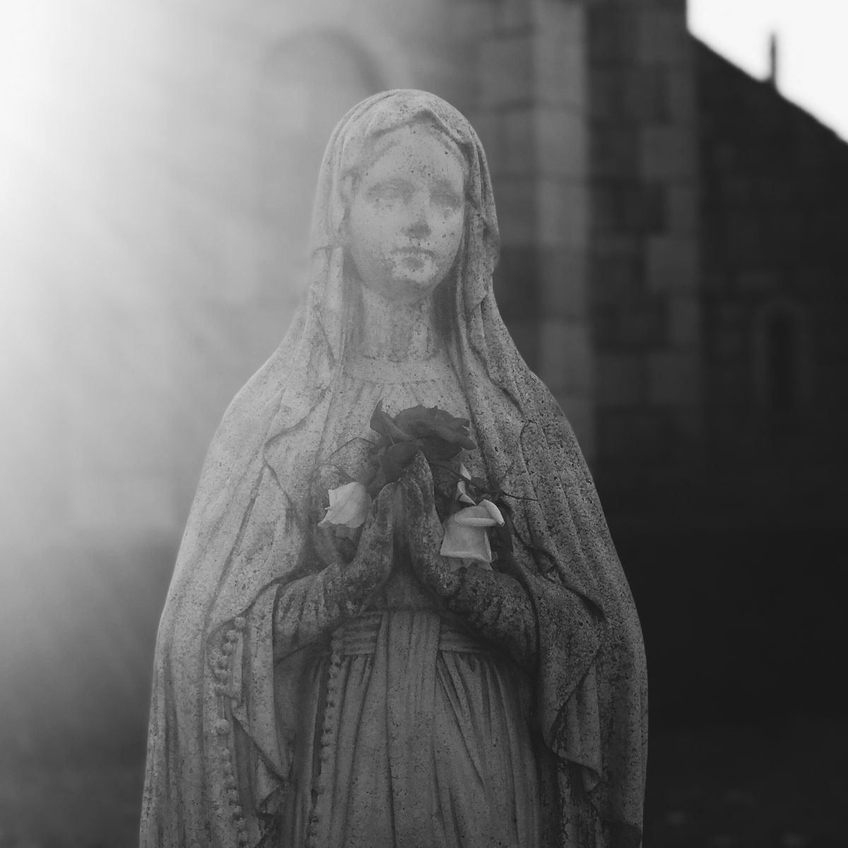 kedifot anna paraskevidou iwd22