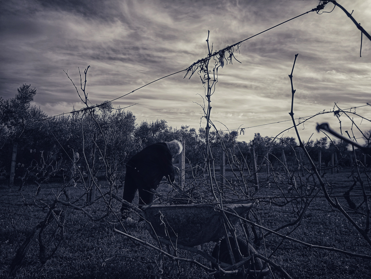 kedifot georgia dimitriou iwd22